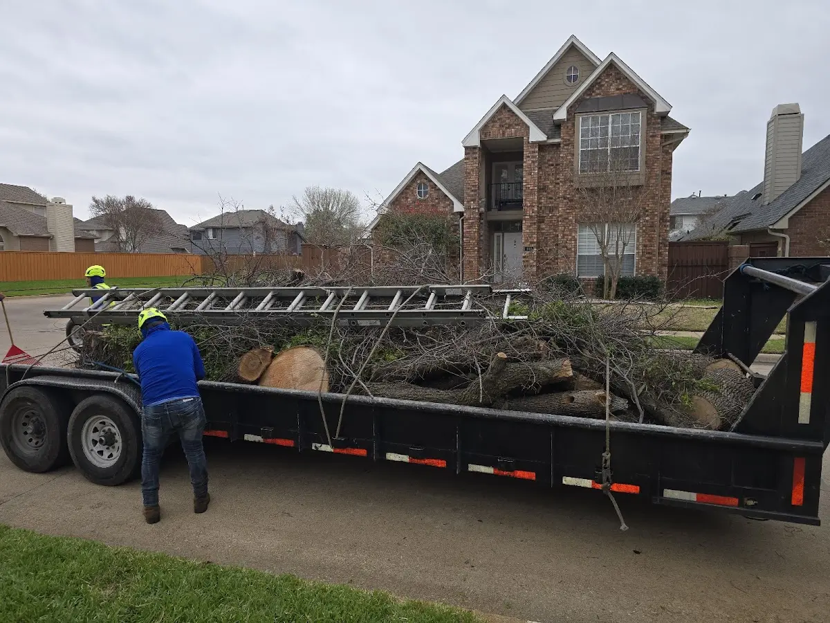 Expert Lot Clearing with proper safety equipment in Rural Valley